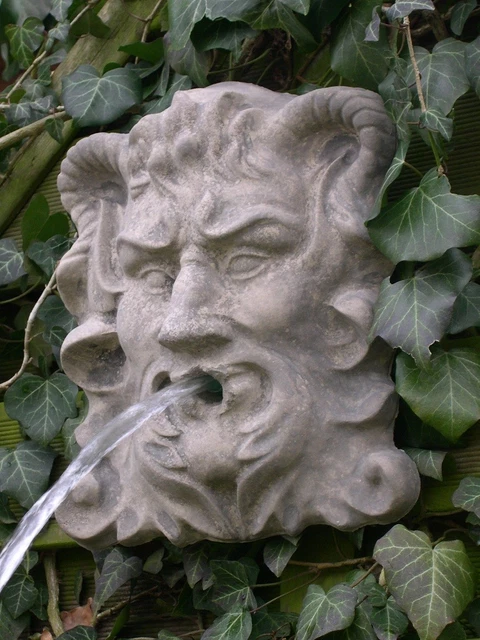 47+ Widderkopf Garten Kaufen, Perfektionieren sie ihre gartenarbeit