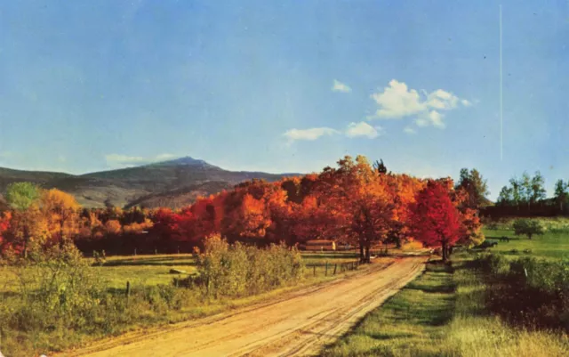 View of Whiteface Mountain Adirondacks in Fall Foliage New York Vintage PC