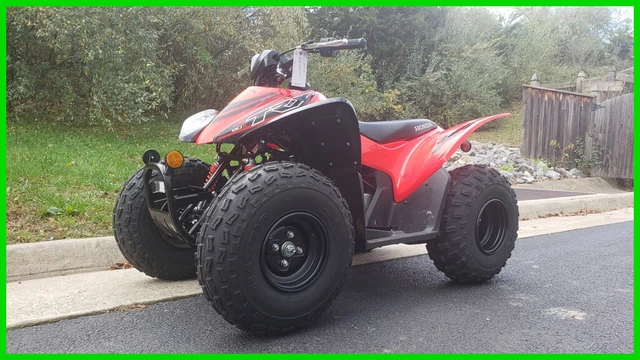 2024 Honda TRX90X New 2024 Honda TRX90X New