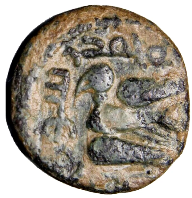 CERTIFIED AUTHENTIC Medieval Islamic Coin Umayyad Eagle Bird of Palestine #6 CERTIFIED AUTHENTIC Medieval Islamic Coin Umayyad Eagle Bird of Palestine #6