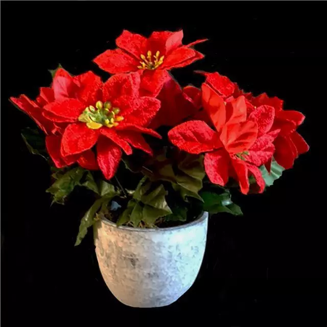 Artificial Red Poinsettia Plant in Pot  - Christmas Potted Plants