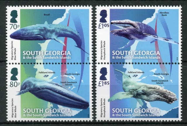 South Georgia & Sandwich Islands 2018 MNH Migratory Species Whales 4v Set Stamps