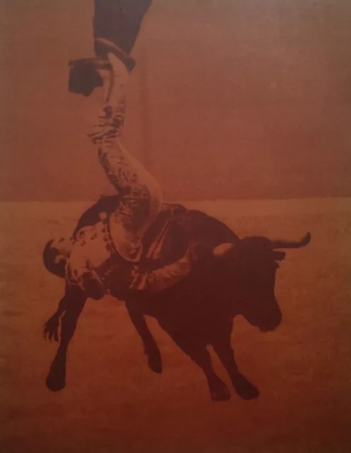 Paul Blanca: COGIDA, silkscreen -with bull's blood- / 1991