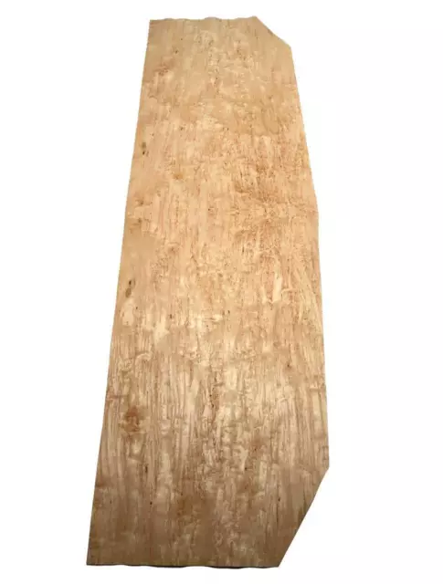 Betulla morbillo impiallacciatura legno betulla morbillo intarsio A2 88x40-55 cm 1 foglia 2