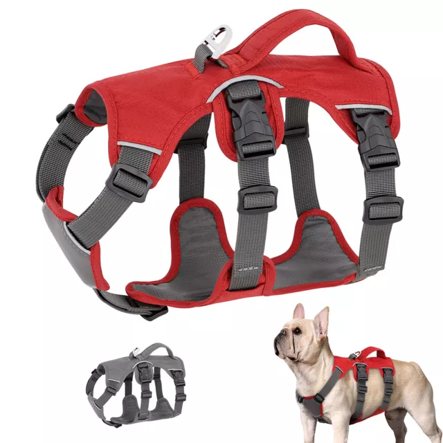 Reflective Dog Harness Waterproof Adjustable Vest for Small Medium Large Dogs