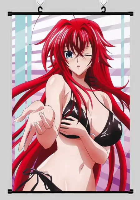 A Wide Variety of High School (Highschool) DxD Anime Characters Anime Wall  Scroll Hanging Decor (Himejima Akeno 1) : : Stationery & Office  Supplies