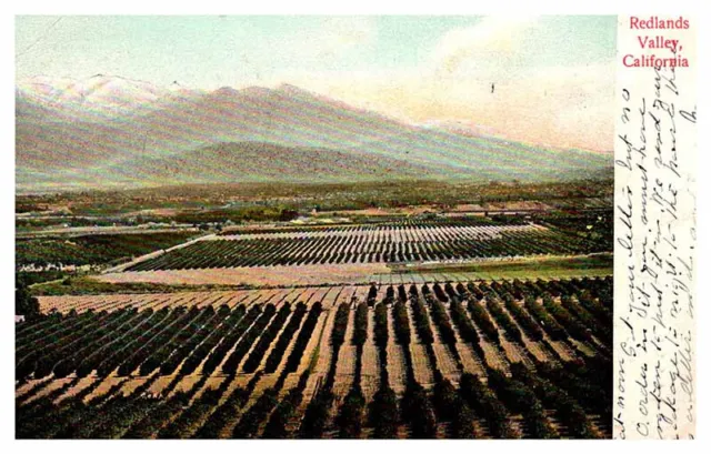 Postcard AERIAL VIEW SCENE Redlands Valley California CA AP7521