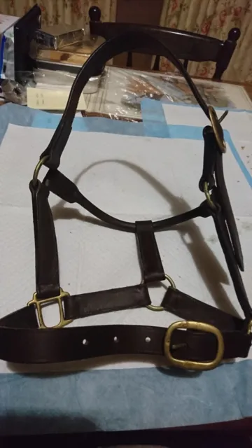 Ord River solid Leather Headcollar halter Pony