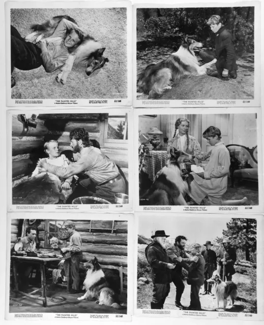 The Painted Hills - Gary Gray In 1951 Mgm Lassie Film - 13 Original 8X10 Photos!