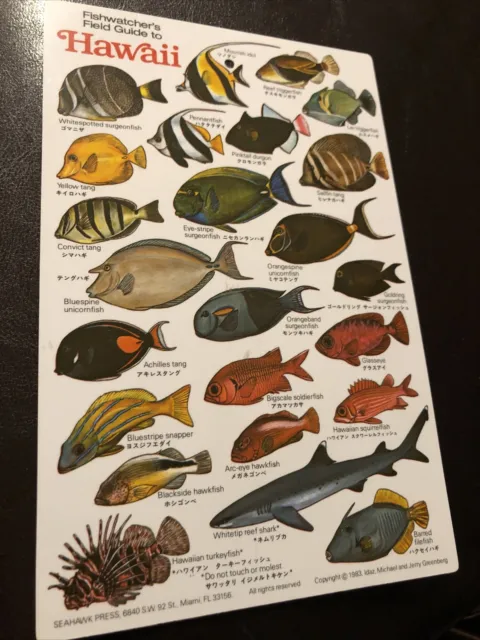 1983 Fishwatcher's Field Guide Hawaii Waterproof Laminated ID Cards