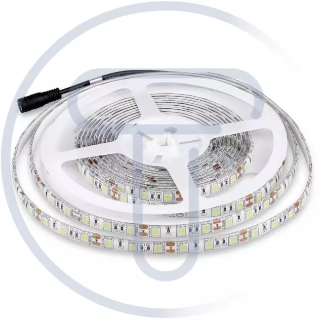 Striscia led 12V, bianco freddo 6500K, 5 metri, SMD5050, 11W/m, 60 led/m, IP65