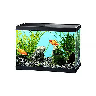 Ciano Aqua 15 Aquarium Black 13 litre Starter Fish Tank  with Filter and Lid