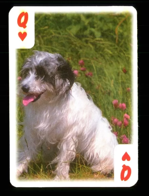 1 x Spielkarte Schöne Hunde Serie - siehe Foto - Herzkönigin S36