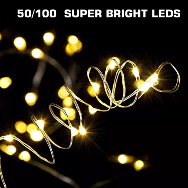 50-100 LEDs Battery Operated Mini LED Copper Wire String Fairy Lights + Remote