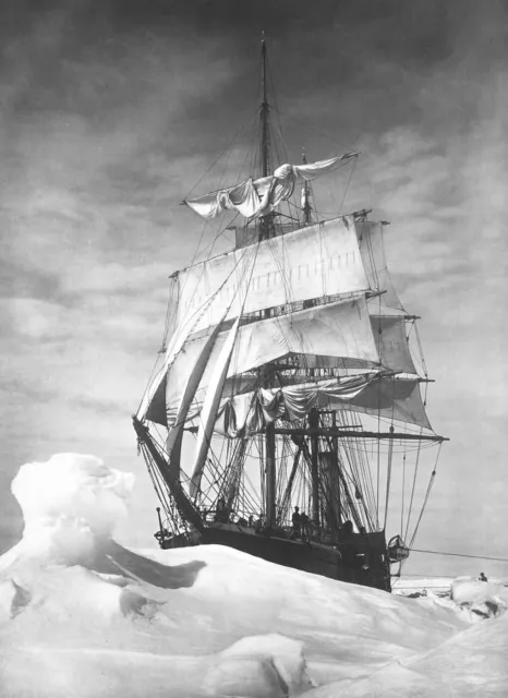 Herbert G. Ponting "Terra Nova Icebound, British Antarctic Expedition" Grey Art