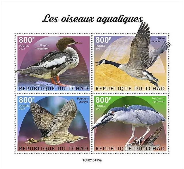Aquatic WATER BIRDS 4-Value MNH Birds/Bird Stamp Sheet #441 (2021 Chad)
