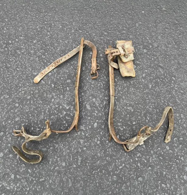 Vintage Pair Pole/Tree Climbers Equipment Spikes Gaff W/Straps