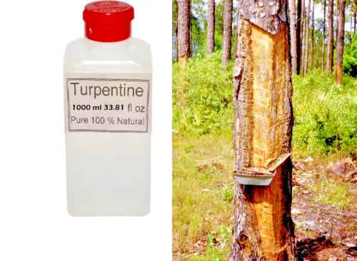Térébenthine 1 litre - 100 % Pure Essence Pin - 1000 ml ( 33.81 fl. oz )