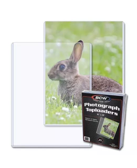 10 25 50 PK BCW 6x8 Hard Plastic Rigid Topload Photo Holders 6x8 toploaders