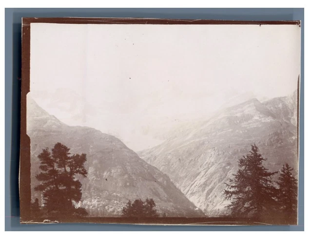 Tirage Citrate Vintage Du Glacier Du Rhône (Suisse) - Environ 1900, Format 8x11 Cm - Photo Ancienne, Référence CK5216
