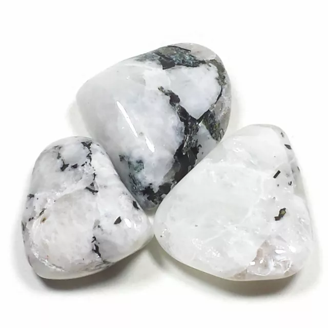 White Rainbow Moonstone Tumbled Polished Crystal Stone, 3 Pc Set, Avg Size 1.05"