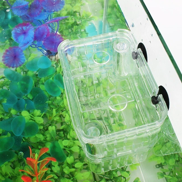 Acrylic Fish Tank Breeding Isolation Box New Aquarium Hatchery Incubator Holder 3