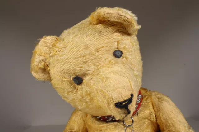 Antik Vintage Wohl Bing Teddy Teddybär Stofftier 62cm ca. 1920 3