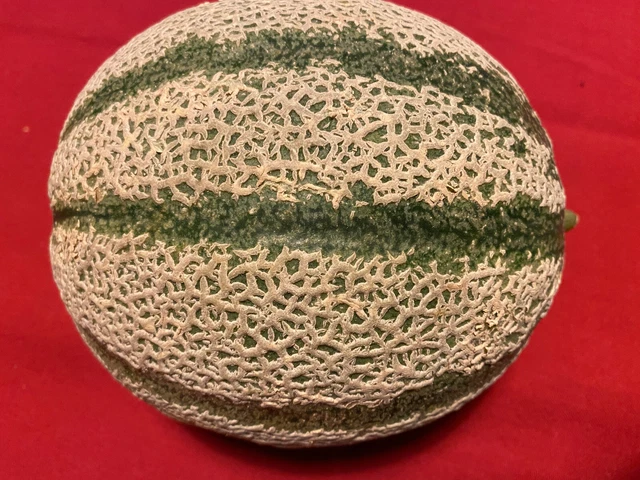 Semi Melone Carosello Barattiere - Cucumis Melo, Orto Strabilia