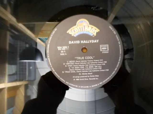 David Hallyday True Cool Lp 33T Vinyle Ex Cover Ex Original 1988 3
