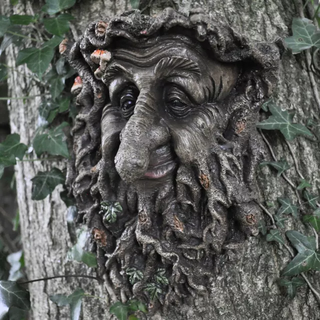 Man Of Forest GreenMan Tree Face Leaf Plaque Wall Garden Ornament LOTR 39676