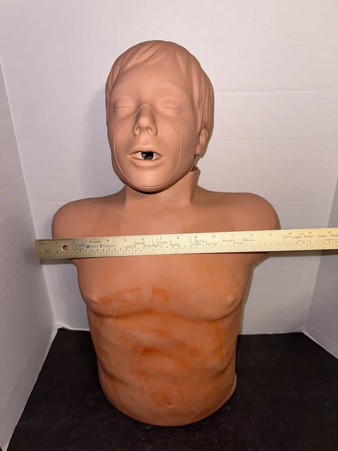 SIMULAIDS Brad Adult CPR Manikin Torso Nursing EMT Training Dummy