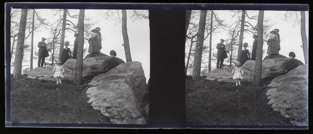 FRANCE Famille au bois Photo Stereo NEGATIF Plaque de verre VR11y 