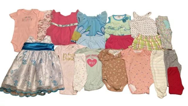 Baby Girl Lot Dress Onesies pants Outfits 0-3 months Carters Gerber Floral