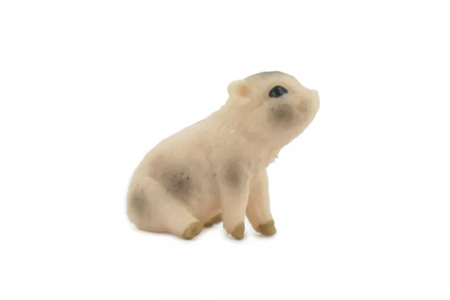 Piglet, Baby Pig Sitting, Small Realistic, Toy Figure, Model  1 1/2" CH550 BB159