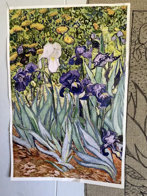 Alfombra ""Irises"" patrón de lino enganchado de Van Gogh 14x20 foto a color Janet Conner