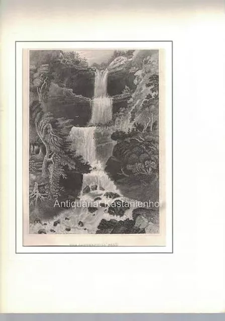 The Catterskill Fall.  - Original-Stahlstich.,