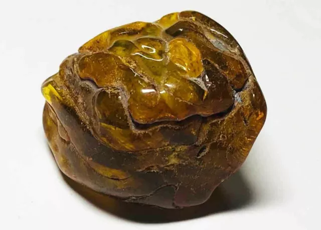 Baltic Amber Stone Raw  amber  Natural Baltic Amber Stone Amber raw