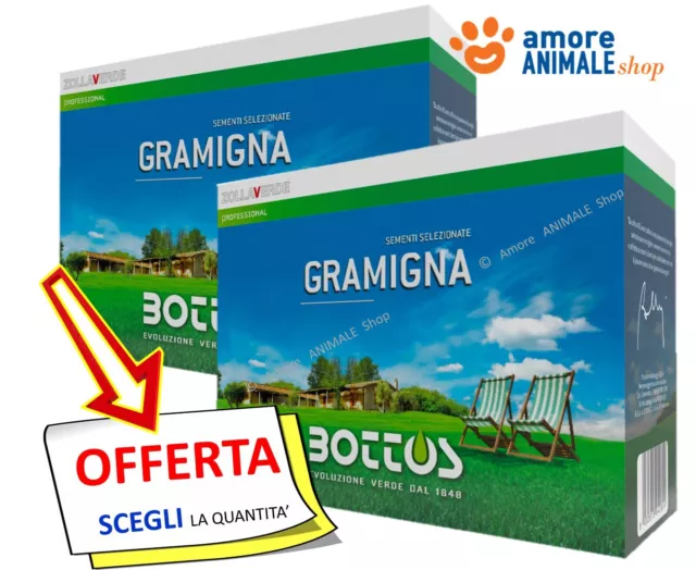 Bottos GRAMIGNA COMUNE → 500 gr / 1 kg - Semi Prato Tappeto, Cynodon Dactylon