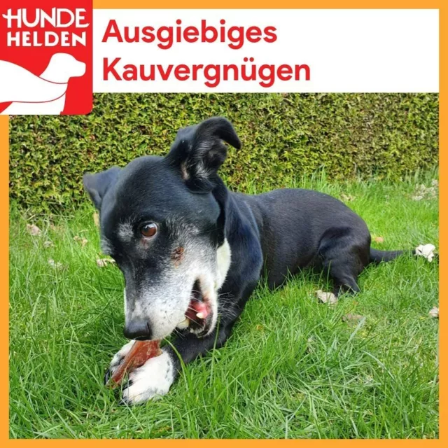 Getrocknete Kalbshufe für Hunde 25 Stück | Deutsche Herstellung Naturkauartikel 5