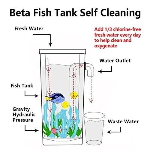Betta Fish Tank, 360 Aquarium with LED Light, 1 Gallon Fish Bowl, Small Fish 5