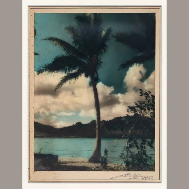 J.j. Williams "Coconut Island"