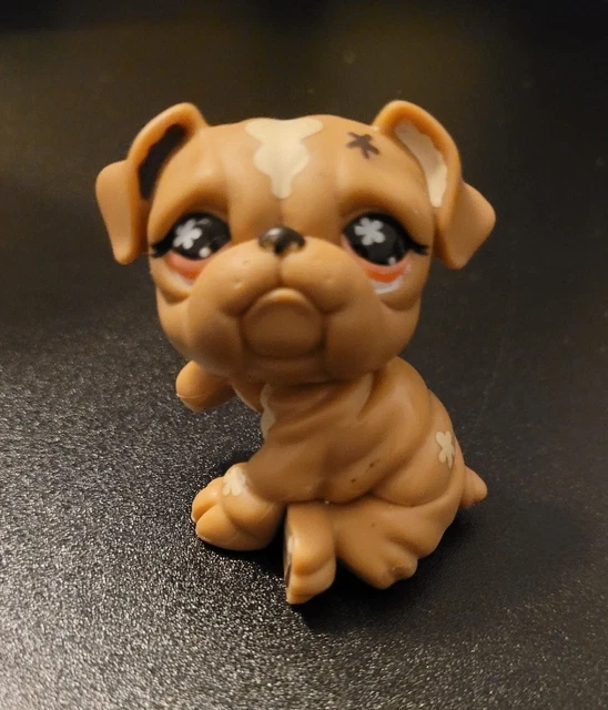 Littlest Pet Shop LPS 607 Brown Cream Bulldog Dog Flowers Orange Eyes Authentic Littlest Pet Shop LPS 607 Brown Cream Bulldog Dog Flowers Orange Eyes Authentic