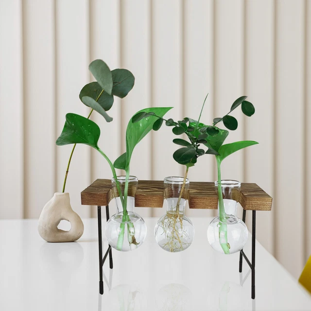 Hydroponic Glass Plant Vase Office Vases Planter Flowerpot Wooden