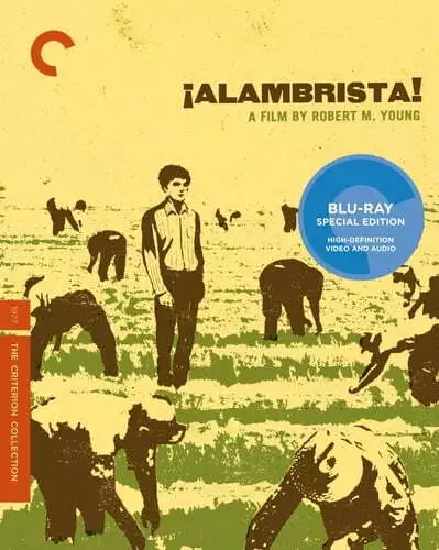 ¡Alambrista! (The Criterion Collection) [Blu-ray], New DVDs