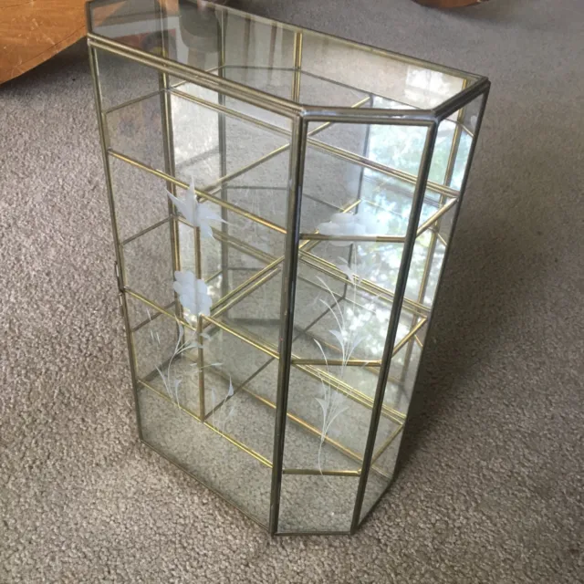 Vintage Etched Glass Brass Display Case Curio Cabinet Mirrored Back Wall Shelf