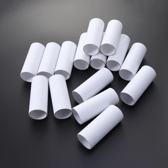 15 PIEZAS Tubo de envío de estudiantes de cartón tubo de papel manualidades para niños