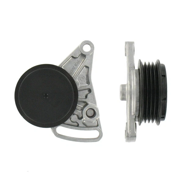 SKF Poulie-tendeur courroie trapézoïdale à nervures VKM 31059 Pour AUDI SKODA VW