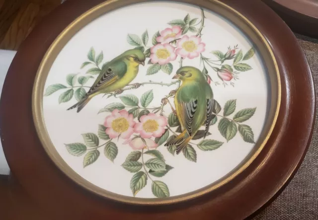 Pre-owned Pair Of Spode England Birds Plate With Wood Frames 2