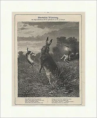 Illustrirte Warnung Hasen Jäger Flinte Lichtung E.A.Ireland Jagd Waidmann 0133