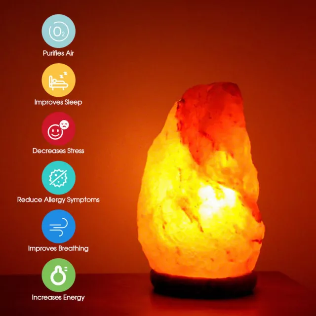 Himalayan Salt Lamp Natural Crystal Rock Shape Dimmer Switch Night Light 1-7 kg 2